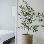 Naest - Authentic Escapes House Apartment *